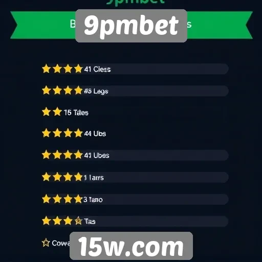 Avaliações de usuários sobre o 9pmbet estão em alta